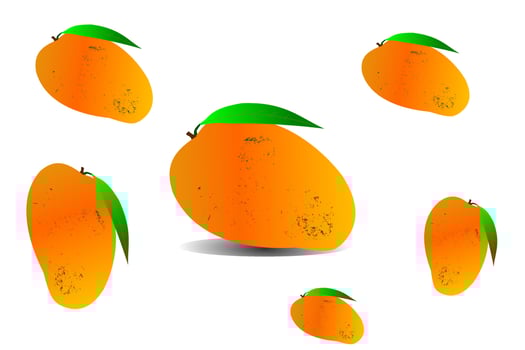 Ripe mango that looks fresh and delicious vector