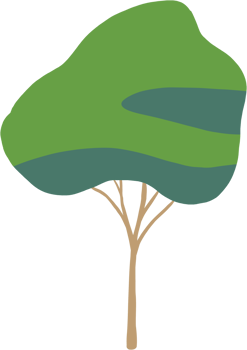 simplicity tree freehand drawing flat design. png