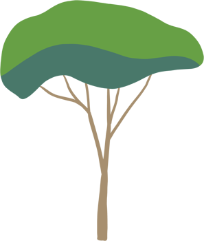 simplicity tree freehand drawing flat design. png