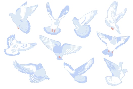 Flying doves set vector illustration isolated on white background