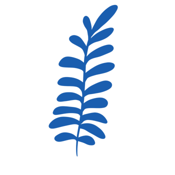 Floral for decoration png