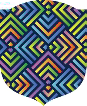 Colorful shield vector. Shield Icon Picture, vector Flat, shield App and Web symbol.