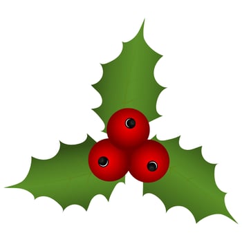Christmas holly on white background vector