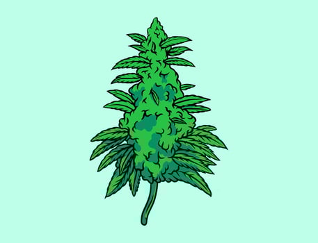 Medical Cannabis Leaf Plant vector
