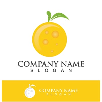 Orange logo and symbol vector icon