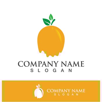 Orange logo and symbol vector icon