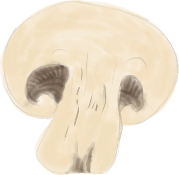 watercolor painting of mushroom vegetable. png