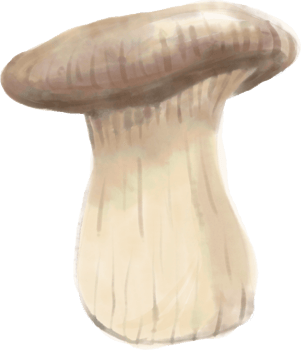 watercolor painting of mushroom vegetable. png