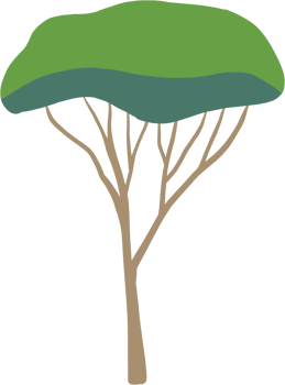 simplicity tree freehand drawing flat design. png