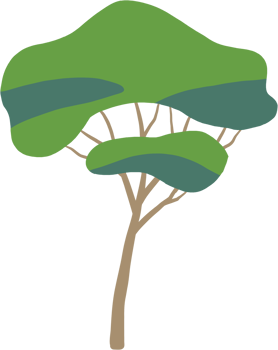 simplicity tree freehand drawing flat design. png
