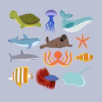 Set Of Sea Animal Illustration vector