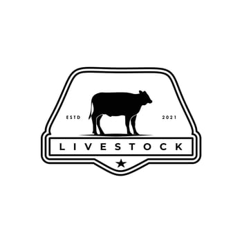 cattle cow beef bull livestock farm logo badge design vector illustration