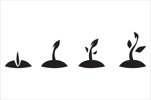 Tree silhouettes - red maple ,sugar maple, oak, poplar, green oak, birch vector