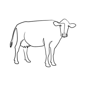 Cow continuous line art design vector