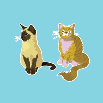 Two Cats Stickers isolated on blue background vector