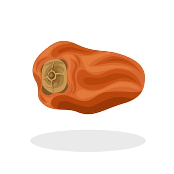 Vector illustration, dried persimmon, isolated on white background.