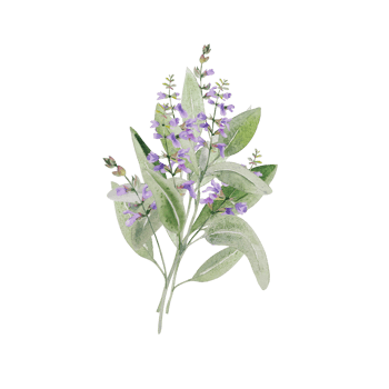 Watercolor flowers bouquet wih roses and herbs png