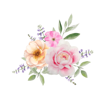 Watercolor flowers bouquet wih roses and herbs png