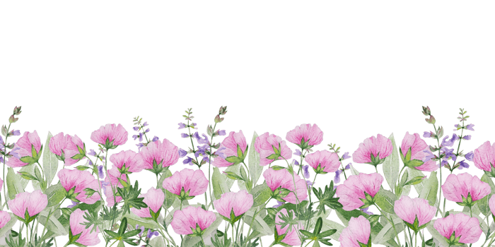 Watercolor flowers and herbs frame png