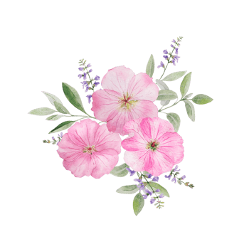 Watercolor flowers bouquet wih roses and herbs png