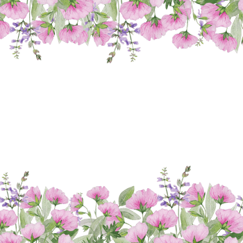 Watercolor flowers and herbs frame png