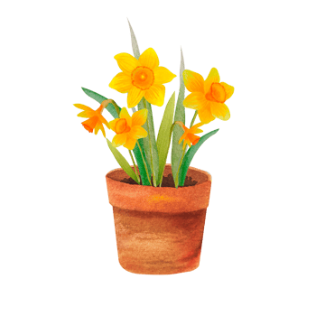 Watercolor spring flowers in the pots png