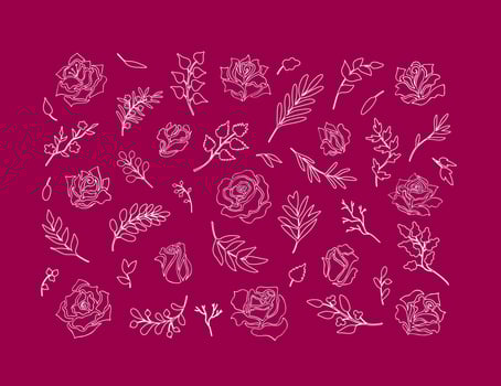 Roses With Twigs Doodle White Outlines. Contour Hand Drawn Set vector