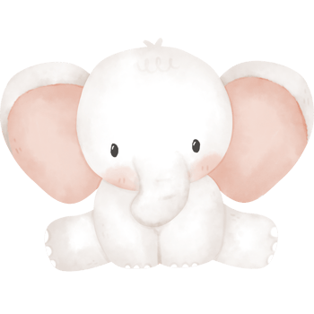cute elephant in watercolor png