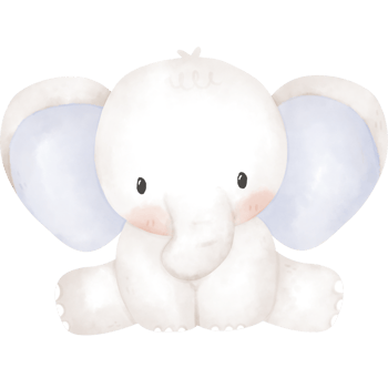 cute elephant in watercolor png