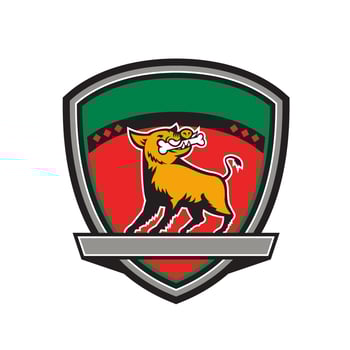 Wild Boar Razorback Bone In Mouth Crest Retro vector