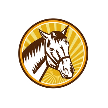 White Horse Head Sunburst Circle Woodcut vector