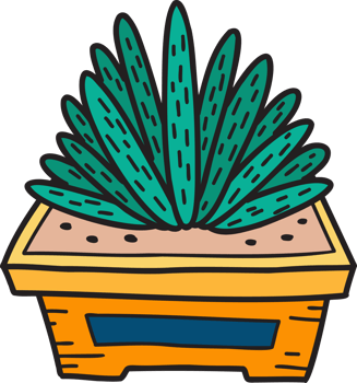 Hand Drawn cute cactus illustration png