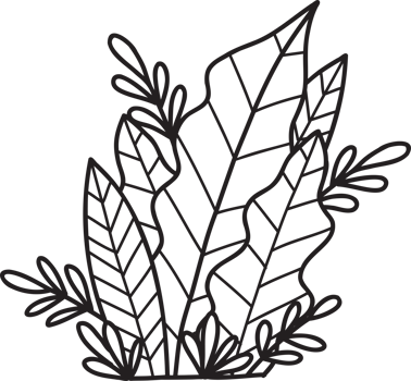 Hand Drawn cute Pots for growing vegetables and fruits illustration png