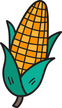 Hand Drawn sweetcorn illustration png