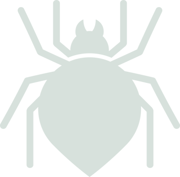 halloween symbol icon png