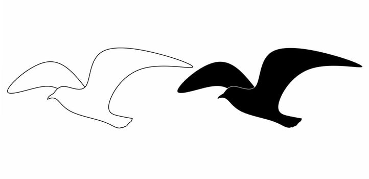 outline Silhouette seagull flying vector