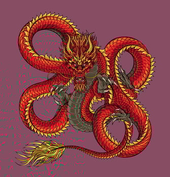 Japan red dragon tattoo illustration vector