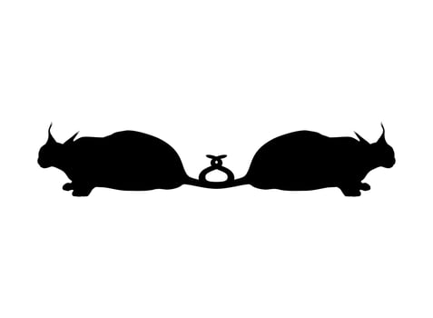 Caracal Cat Silhouette for Logo, Pictogram, Website or Graphic Design Element. Vector Illustration