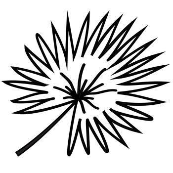 Leaf outline illustration, PNG with transparent background.