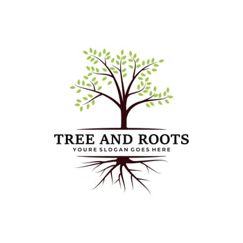 tree and roots logo  vector illustration template design