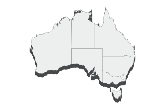 3D map illustration of Australia png