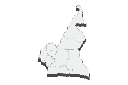 3D map illustration of Cameroon png