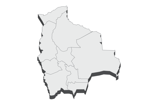 3D map illustration of Bolivia png
