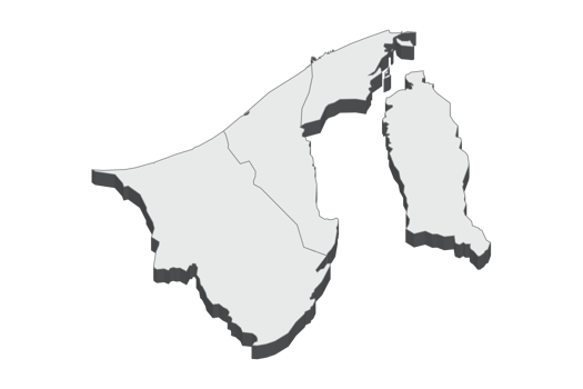 3D map illustration of Brunei Darussalam png