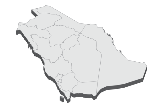 3D map illustration of Saudi Arabia png