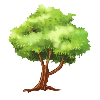 tree cartoon in painting style png