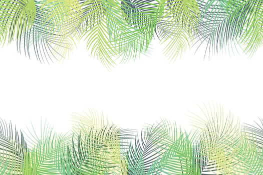 Tropical palm leaves background on white background vector