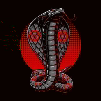 vector illustration colorful cobra stands tall with circle background vintage illustration