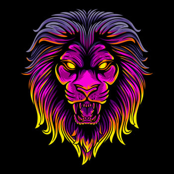 Vector Illustration Colorful Front View of a Lion's Head With a Growl Pose Vintage Illustration