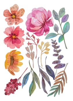watercolor flower elements clipart vector